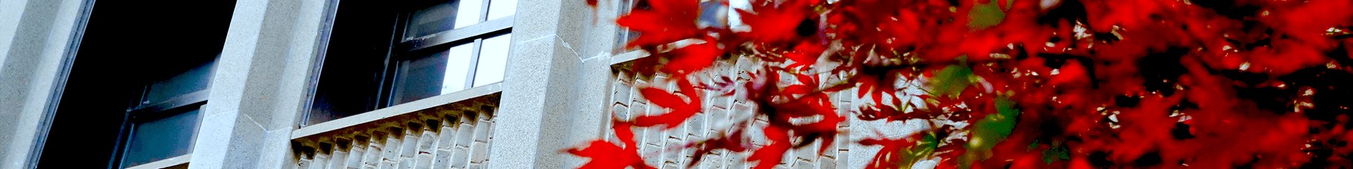 Language English